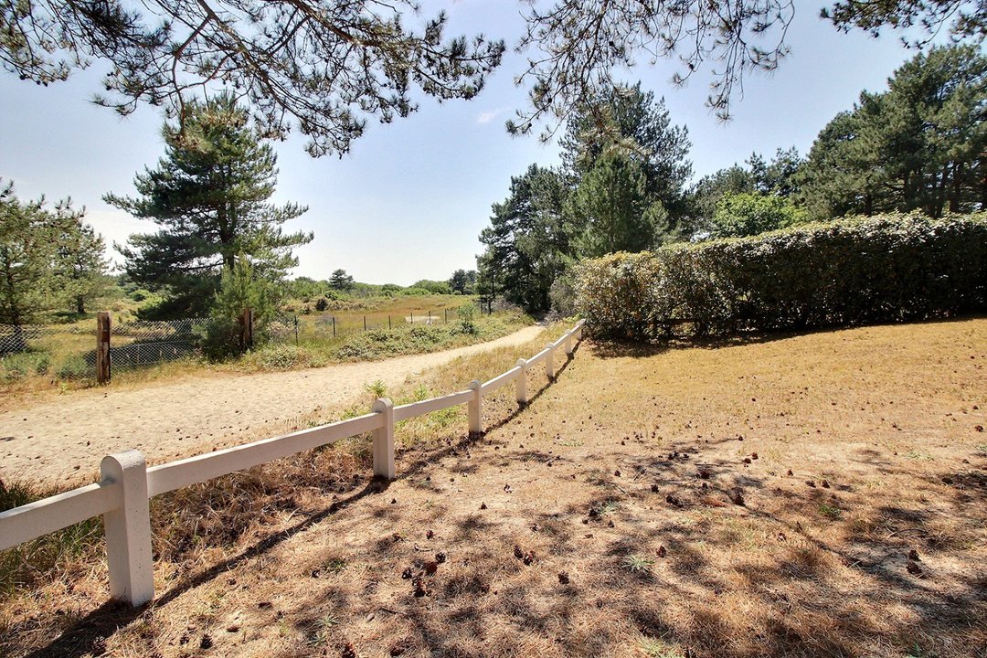 /picture/helios/116215201/16 BRUYERES/21_2026-02-24CET16h00-10.jpg